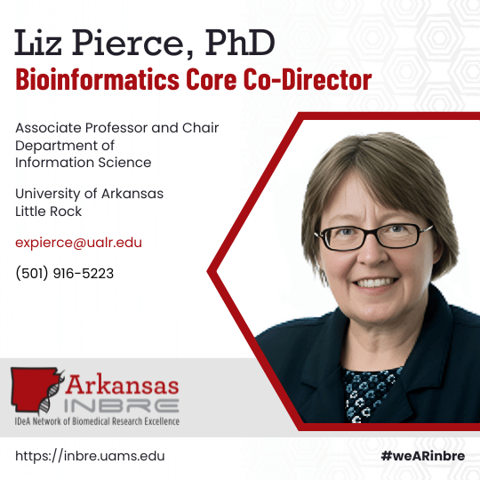 Dr. Liz Pierce, Arkansas INBRE Bioinformatics Core Co-Director