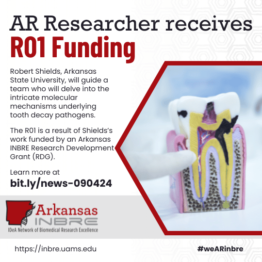 Robert Shields, AR State U, receives R01 as a result of AR INBRE funding