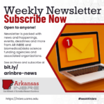 subscribe to our newsletter