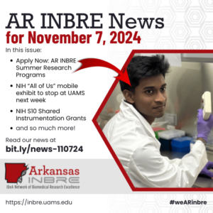 image announcing nov 7, 2024 newsletter