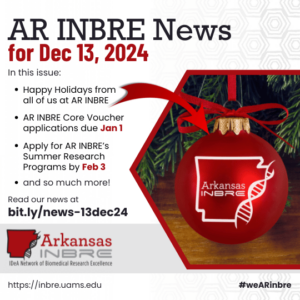 image announcing dec 13, 2024 newsletter