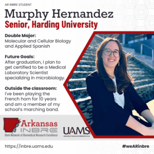 Murphy Hernandez