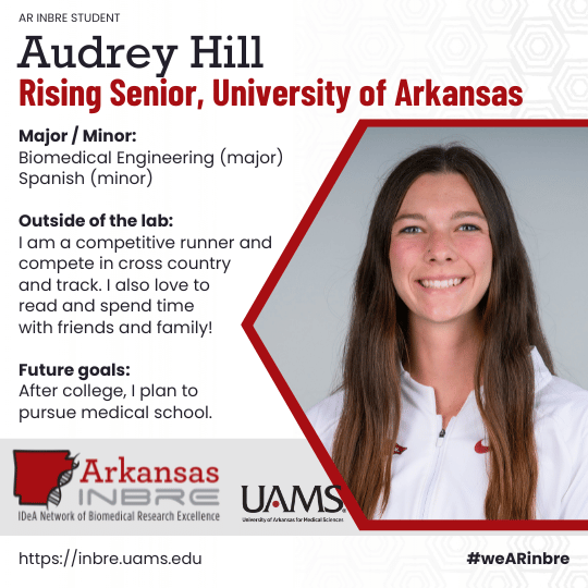 Audrey Hill