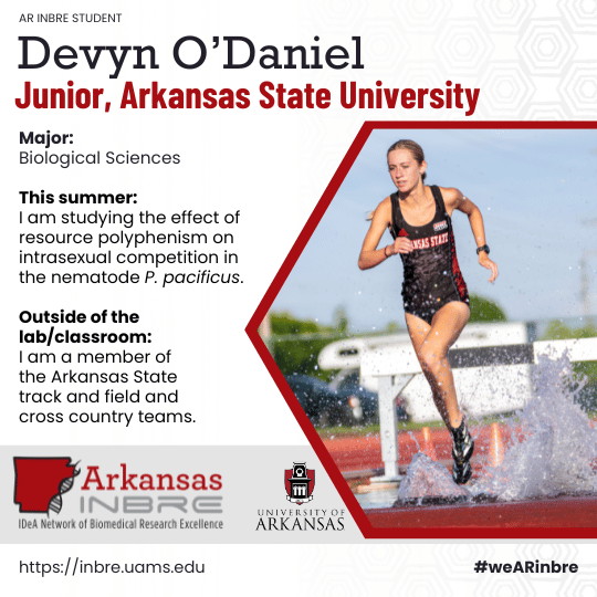 Devyn O'Daniel
