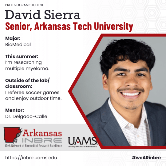 David Sierra
