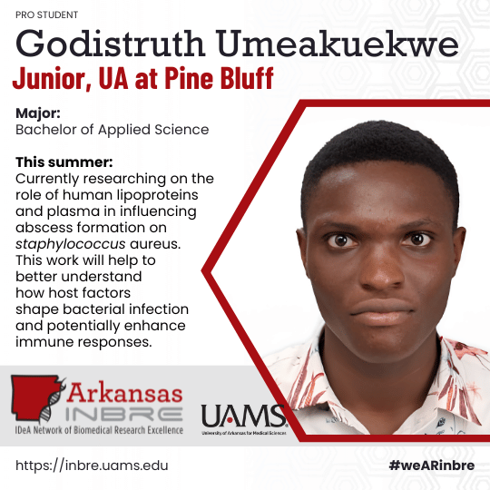 godistruth umeakuekwe