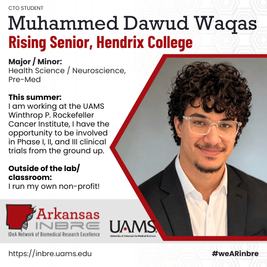 dawud waqas