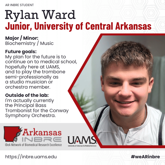 rylan ward