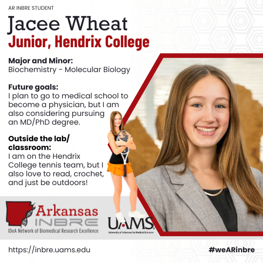 jacee wheat with tennis