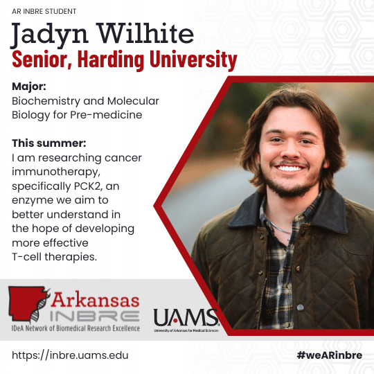 Jadyn Wilhite