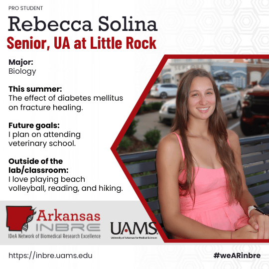 Rebecca Solina